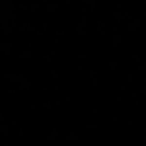 Meet your Posher, Briana